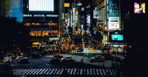 四川专升本题型